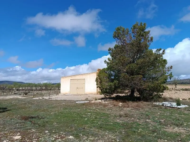 Almacen Agricola 11000m2 Yecla Murcia