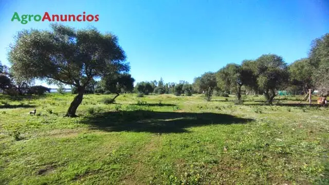 Venta  de Finca de recreo con naves para caballos en Cádiz