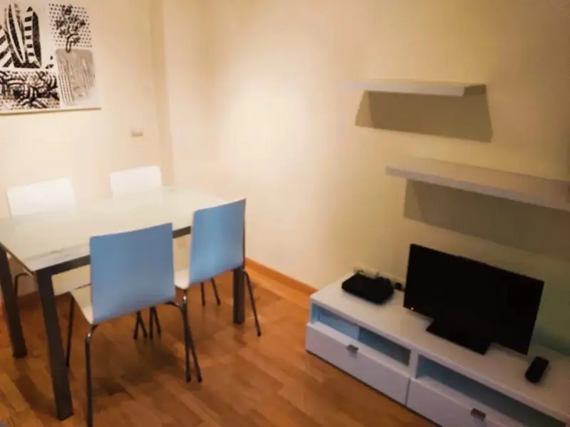 Apartamento en Alquiler Madrid 1 Dormitorio 1 Ba
Ao