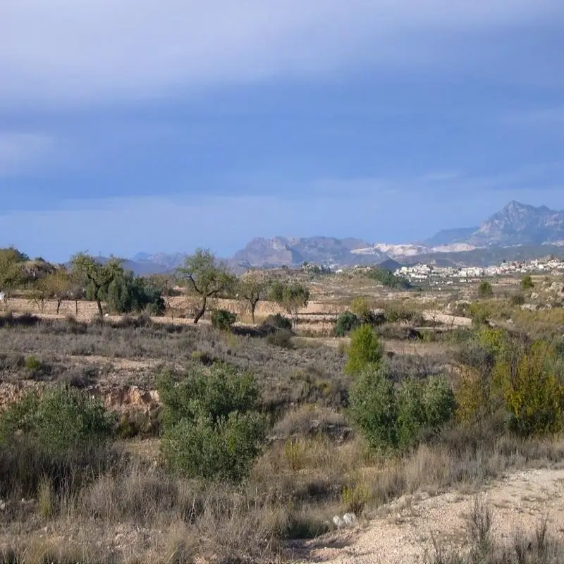 Casa de Cueva para Reformar en Macisvenda