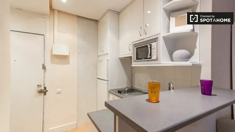 Apartamento en Madrid 1 Dormitorio Spotahome