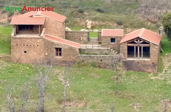 Venta  de Finca forestal con 2 casas en Cáceres