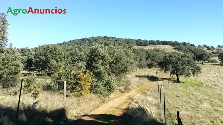 Venta  de Finca de recreo en Cáceres