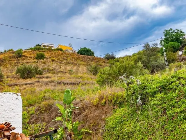 Finca 1 Dormitorio Torrox - Reforma - 6757m2