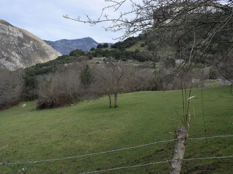 venta Casa rústica en Carreña de Cabrales, Asturias (ICF-00110)- Globaliza