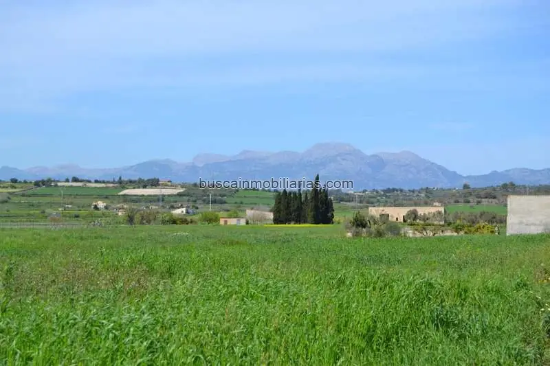 Parcela Urbana en Venta Santa Margalida 17789m2 Vistas Serra Tramuntana