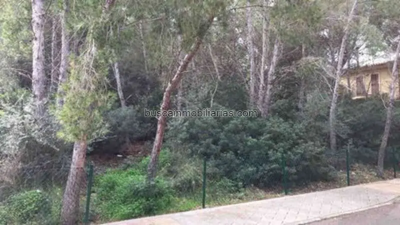 Parcela en Venta Sol de Mallorca Calvia