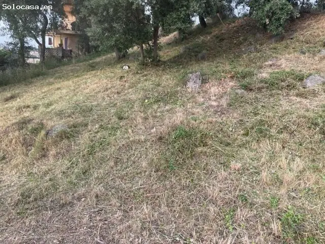 Parcela Edificable 500m2 Maçanet de la Selva Girona