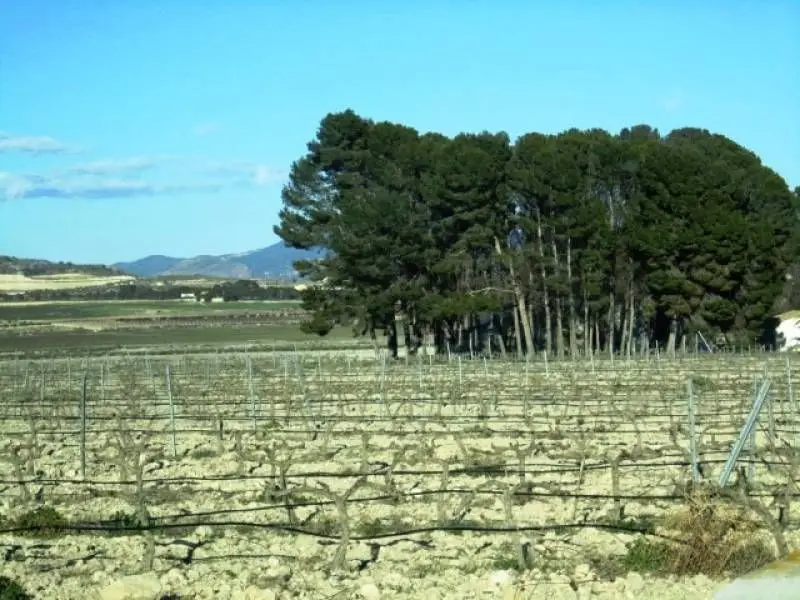Venta Terreno Salinas 24062m2 - Casa Rural