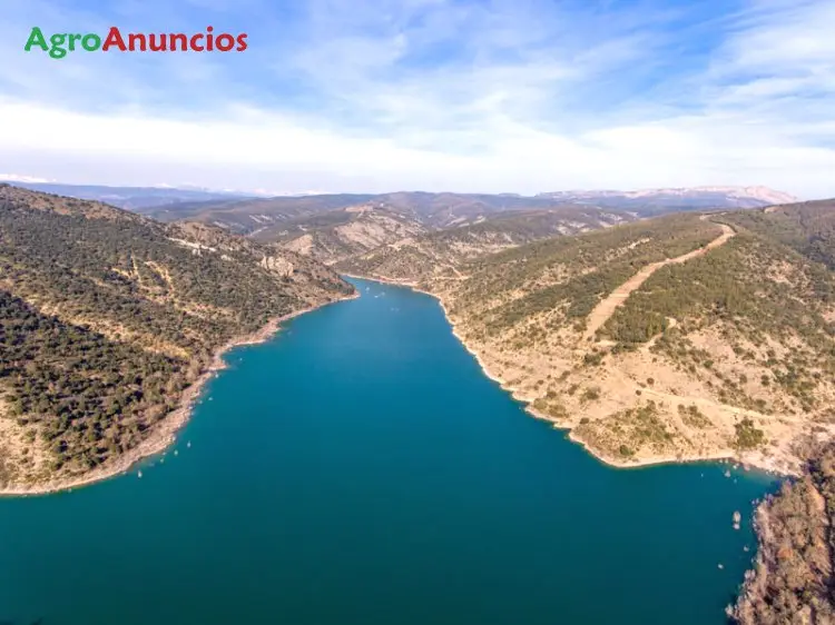 Venta  de Finca forestal, cinegética y agrícola en Huesca