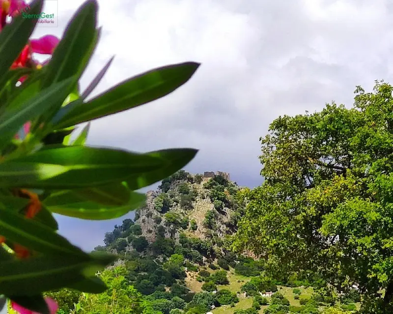 Venta Finca Amueblada Tavizna Benaocaz