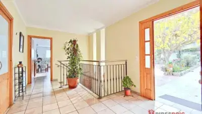 Casa en venta en Mas Mestre Olivella 325m2 3 habitaciones