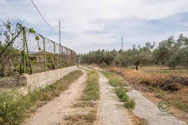 Terreno Rustico 157 Hectareas Las Gabias Gran Oportunidad