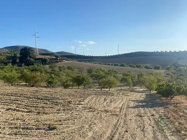 Finca Rustica con Alberca en Dilar Granada