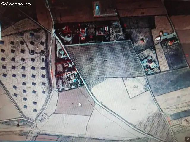 Terreno Rustico en Venta Almansa Albacete
