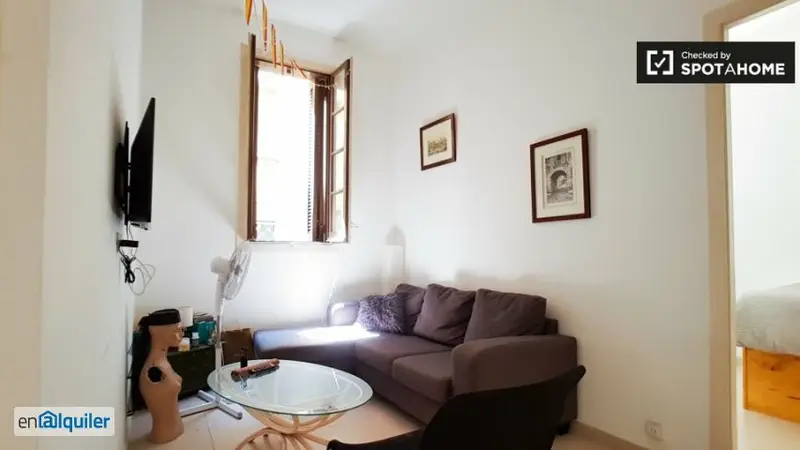 Habitacion Luminosa en Apartamento Raval