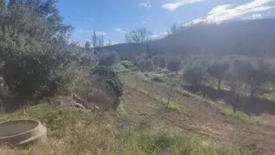 Finca Rustica con Olivos cerca del Rio Matarraña