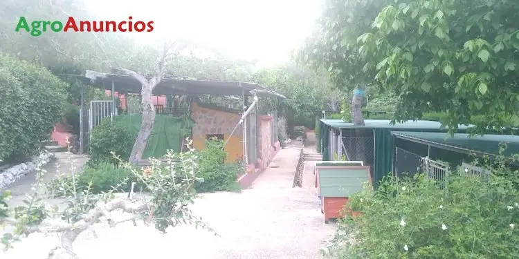 Venta Chalet Valencia cerca Gandia