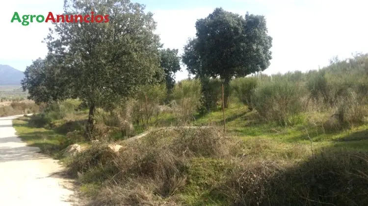 Finca en Cáceres para todo uso: recreo, siembra y animales
