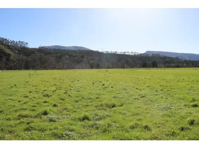Finca Rústica para Construir Casa en Periedo