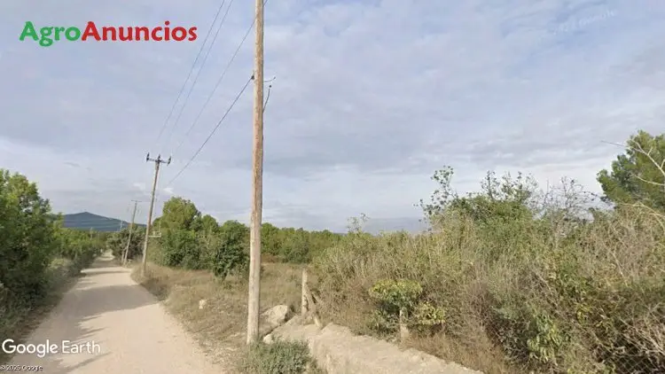 Venta  de Terreno urbanizable de fácil acceso cerca de la población en Tarragona