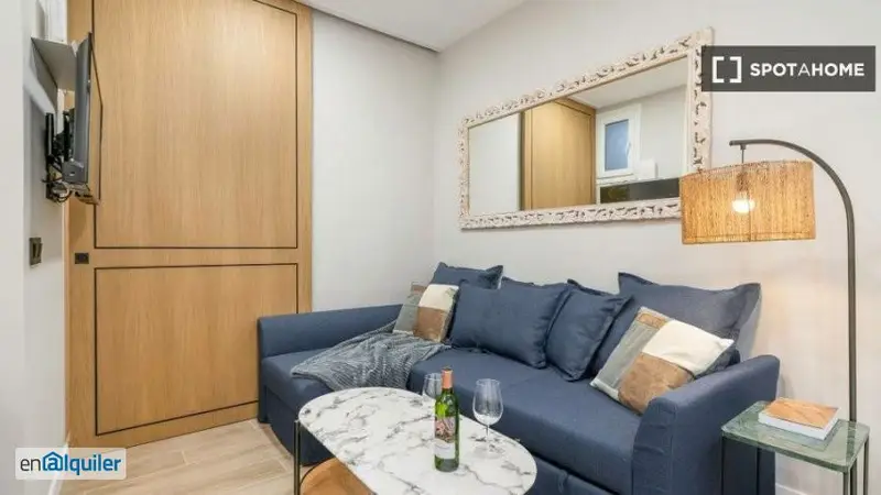 Apartamento 1 Habitacion Alquiler Chueca Amueblado