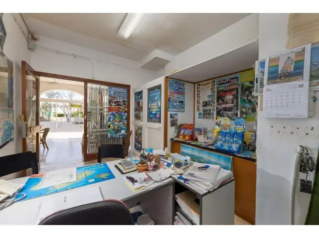 Local Comercial en Venta en Paguera Primera Linea de Playa