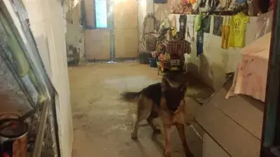Casa en Venta en Rasines Tres Plantas Jardin y Barbacoa