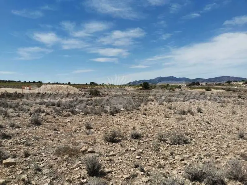 Venta Suelo con Vistas Pinoso - Terreno Edificable 11000m2