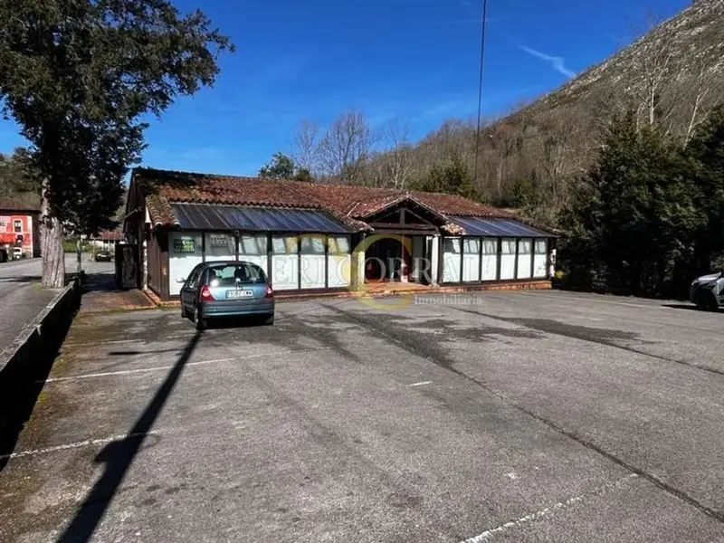 venta Local Comercial en Cangas de Onis, Asturias (N78)- Globaliza