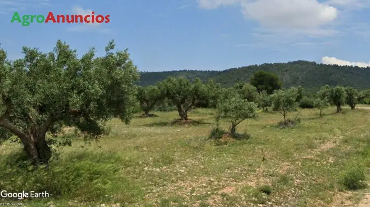 Finca Rustica con Corral de Ganado en Valencia