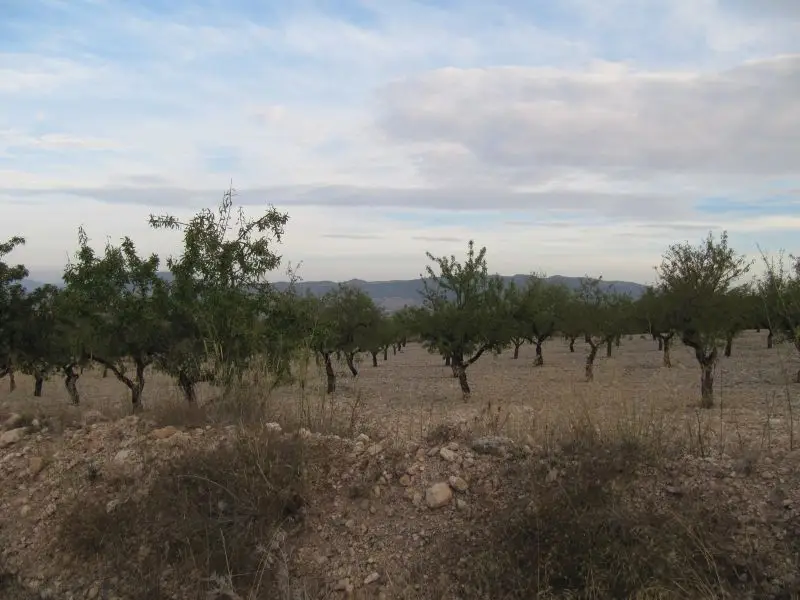 Venta Parcela Salinas 17601m2 Rural