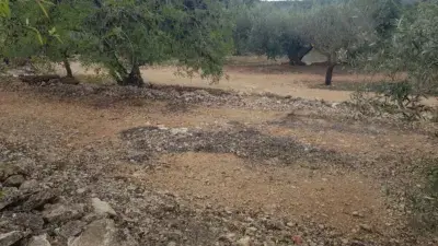 Casa Rústica en Venta en Freginals 5 Hectareas