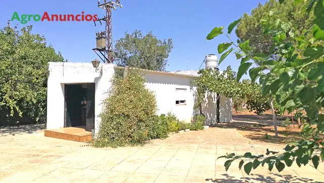 Venta  de Finca de recreo en Sevilla