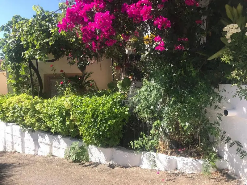 Casa Rural en Los Gallardos Almeria