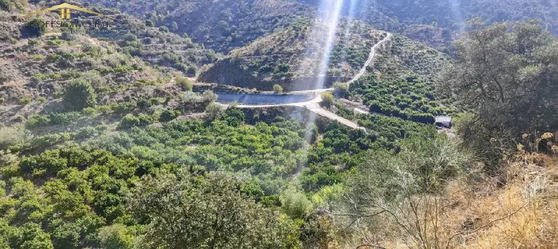 Venta Finca Montes Málaga 22 Hectáreas Aguacate Mango