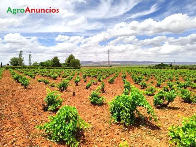 Venta  de Finca rústica con viñas en Ciudad Real