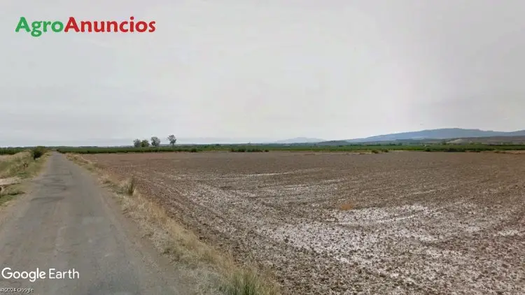 Venta  de Finca de actividad agrícola en La Rioja