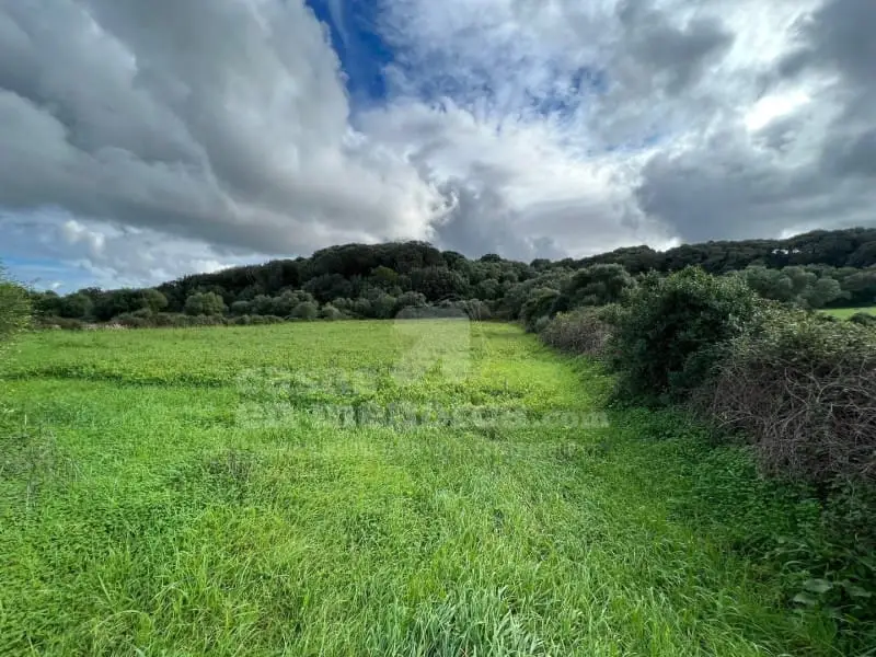 Terreno Rustico en Venta Alaior Menorca