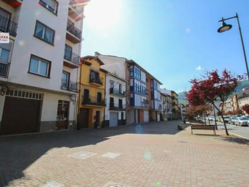 venta Piso en Altsasu/Alsasua, Navarra (34205949106.100500)- Globaliza