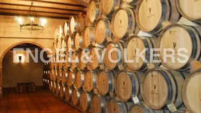 Finca Ecológica con Bodega y Viñedo en Venta