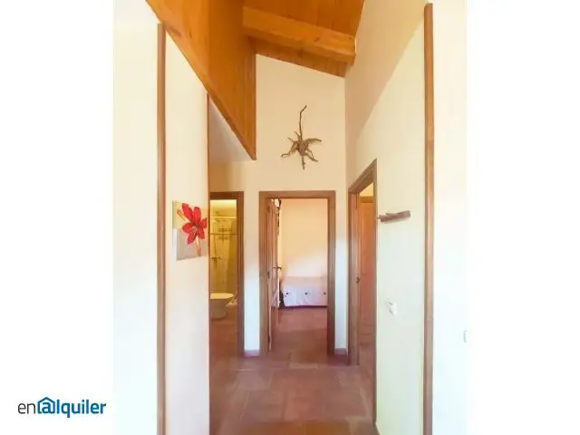 Piso en alquiler larga estancia en campo