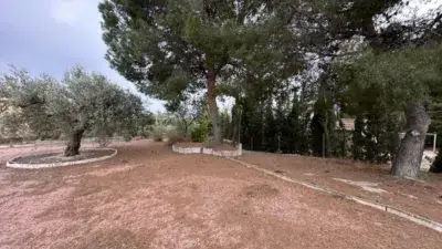 Finca rústica en venta en Sax, Alicante