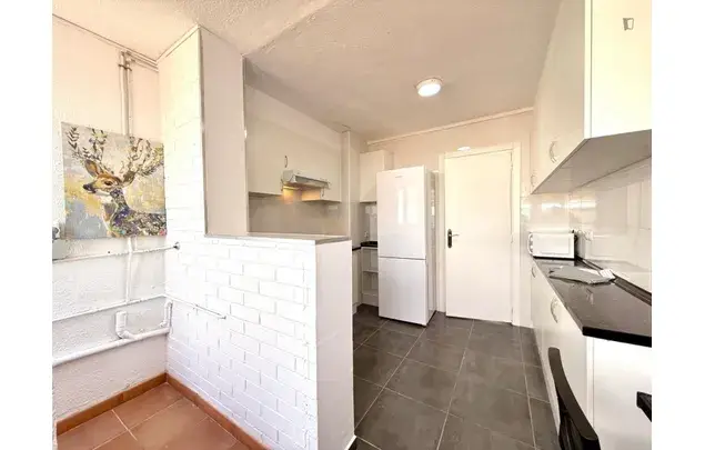 Rent 4 bedroom apartment in Madrid