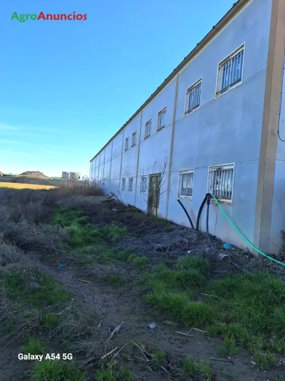 Venta  de Finca de regadío en Madrid