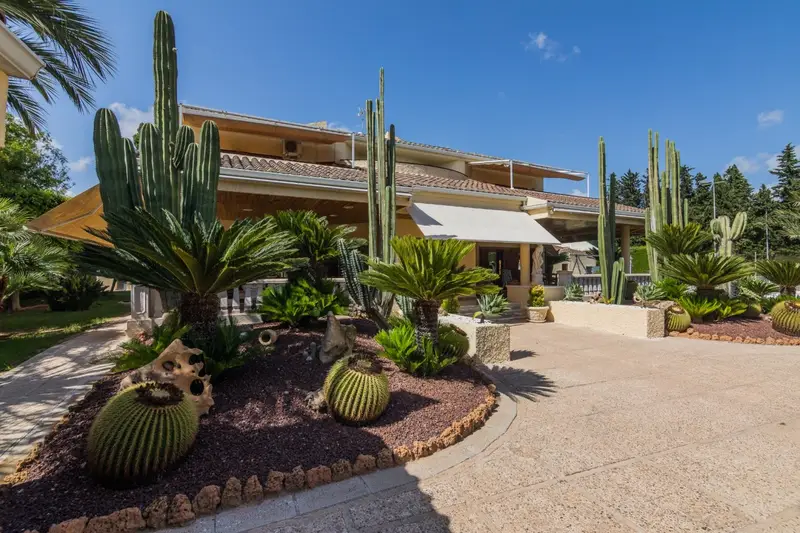 Venta Chalet con Piscina en Elche 864m2