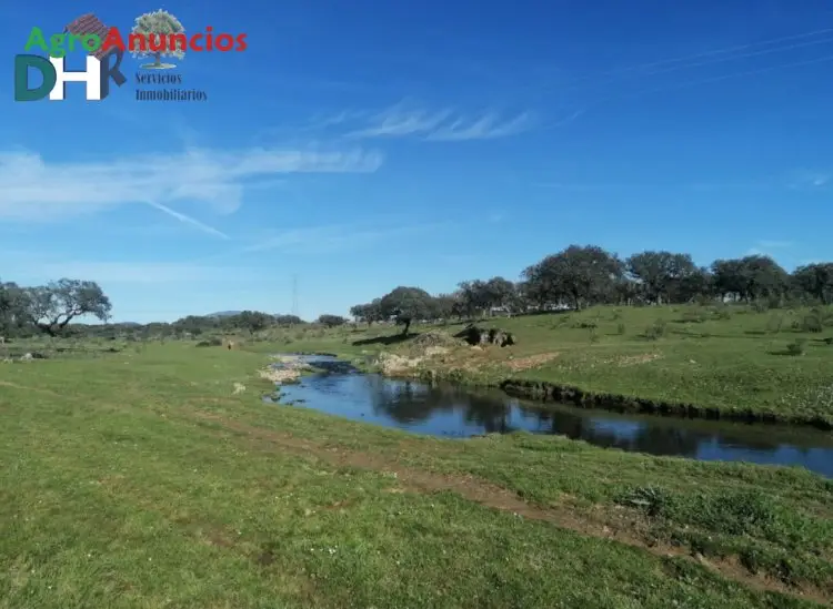 Venta  de Finca ganadera en Cáceres