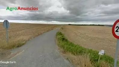 Venta  de Terreno de secano en Navarra