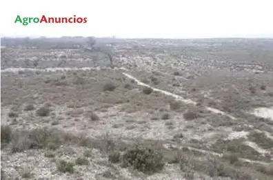 Venta  de Finca de secano en Zaragoza