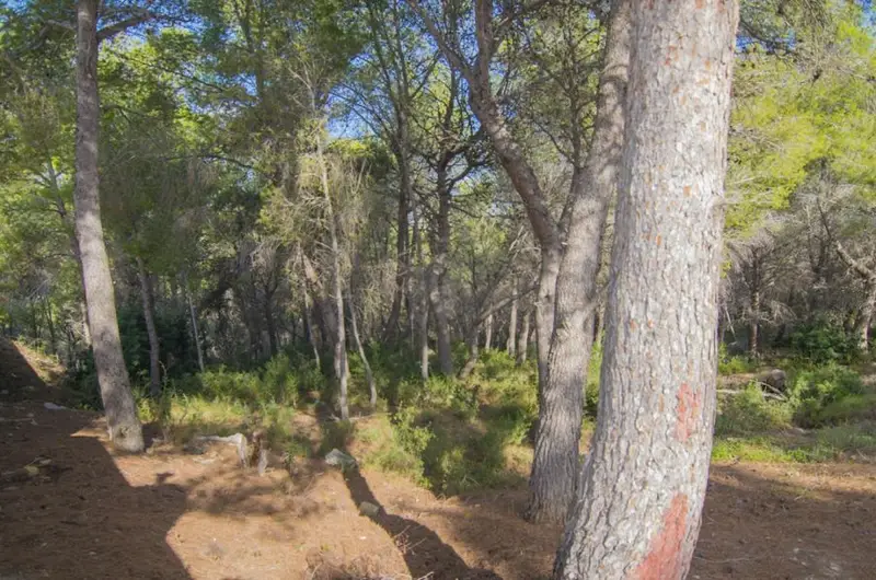 Venta Parcela Empedrola Calpe 2000m2 Cerca Playa